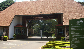 Bush and Beach Safaris