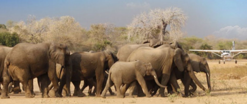 Amboseli National Park