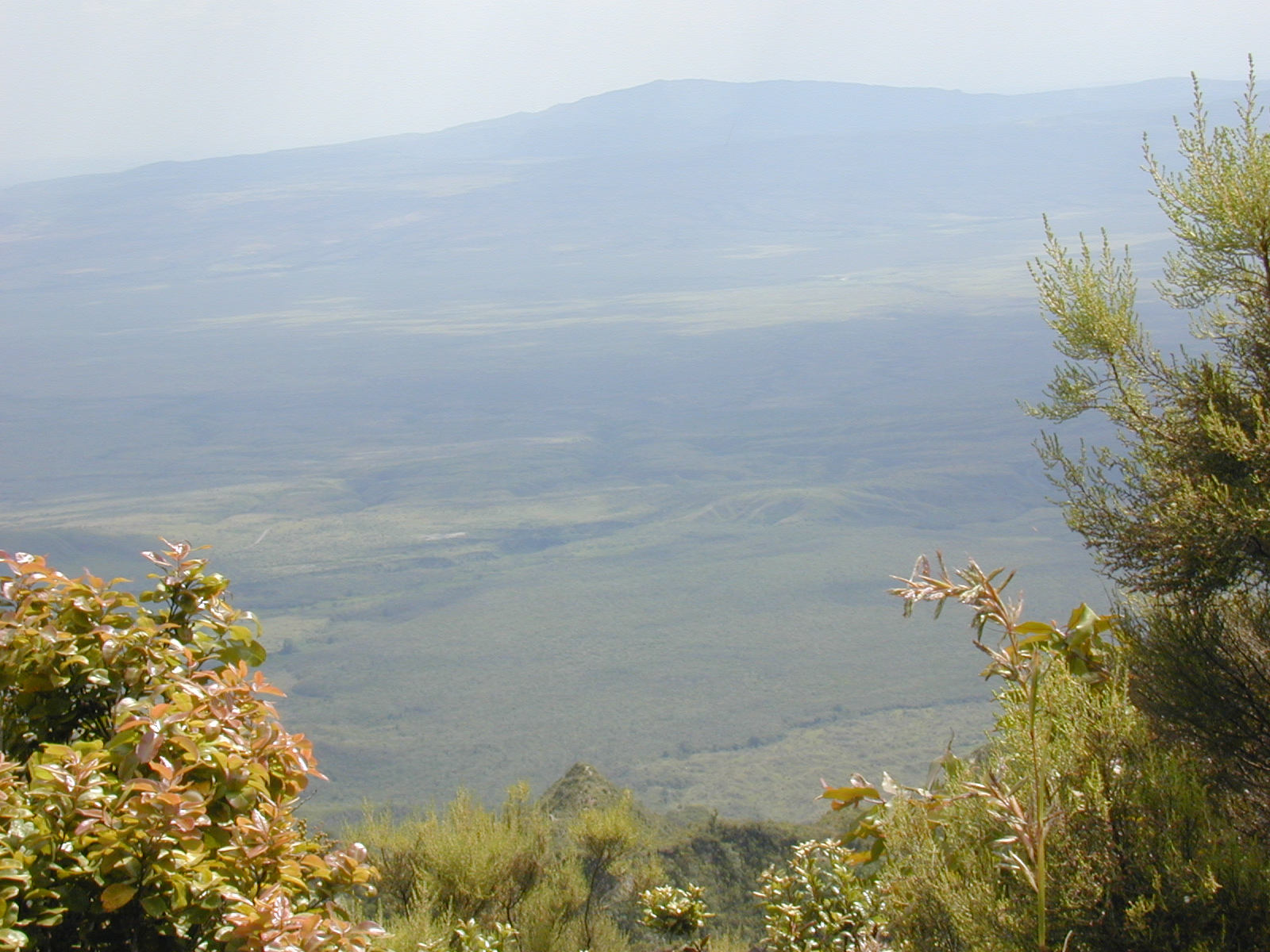 1-Day Mount Longonot Hike from Nairobi | Rift Valley Crater Excursion