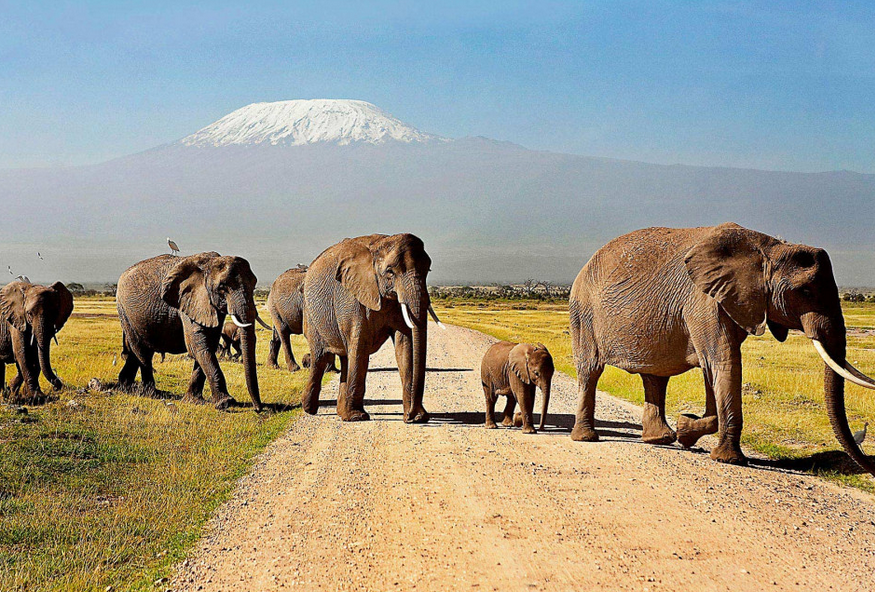 7-Day Kenya Safari: Amboseli, Naivasha, Nakuru & Masai Mara | Big Five Tour